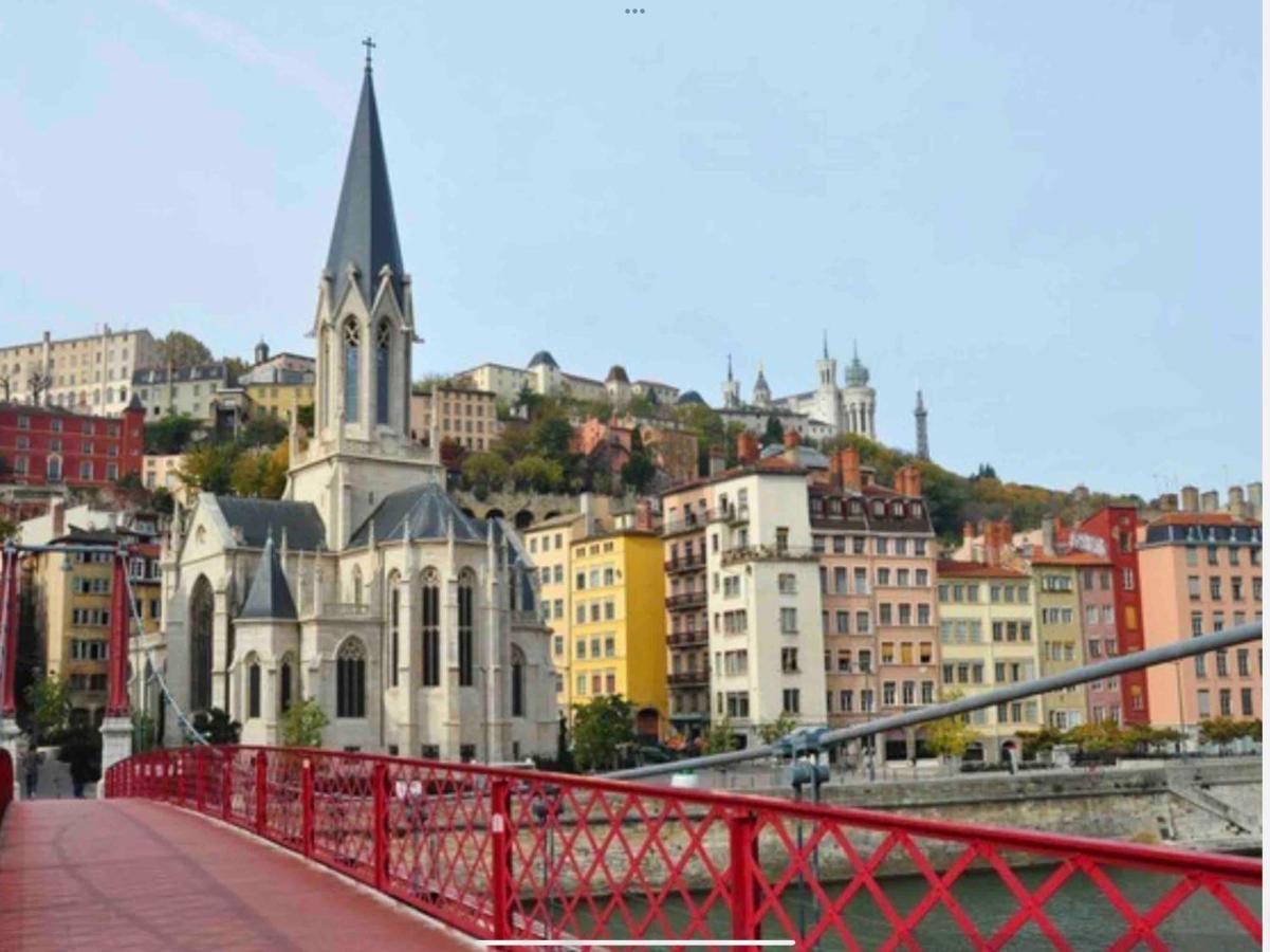 Beau Duplex Avec Jardin Et Vue Apartment Lyon Luaran gambar