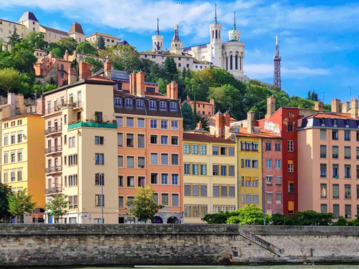 Beau Duplex Avec Jardin Et Vue Apartment Lyon Luaran gambar